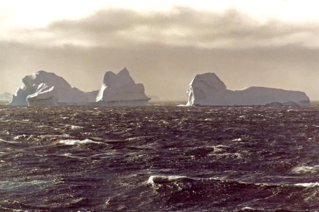 Плывущие айсберги